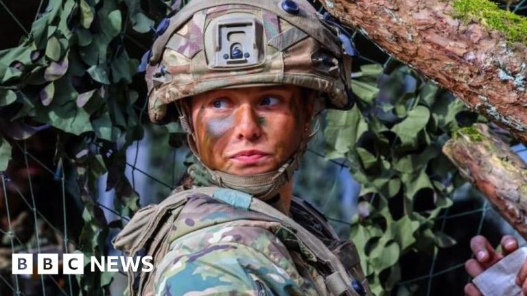 UK turns to AI and drones for new battlefield strategy