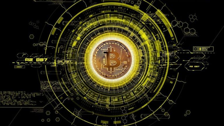 Crypto has become the ultimate active marsh