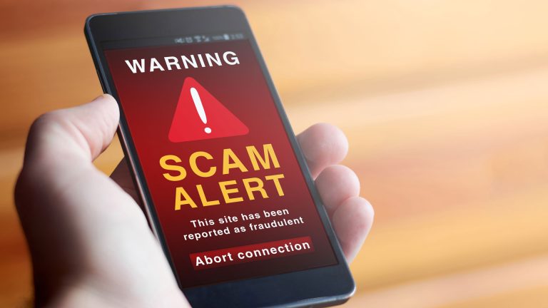 More than two dozen false crypto wallet applications on play store fly a sentence of 12 -words seeds from users without warning