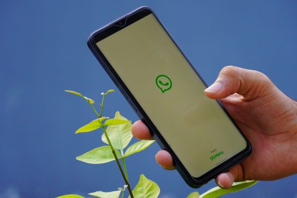 Teste WhatsApp tests the state function of close friends on iOS Beta, adds confidentiality controls for selected sharing