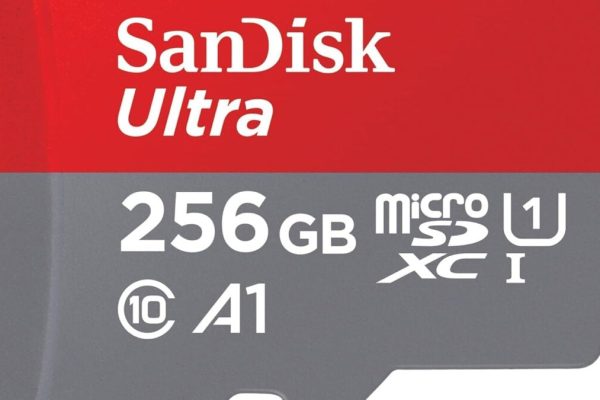 256 GB microSDXC card from Sander for Switch and Android is a few money, Amazon goes everything