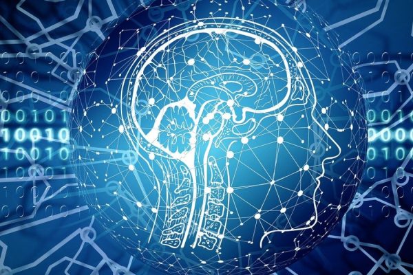 Can AI Become a Colleague Instead of a Competitor?