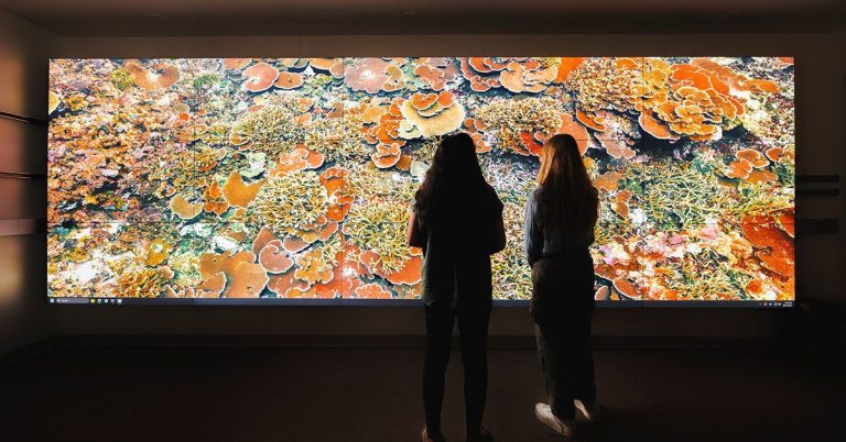 New Technology Infrastructure Streamlines AI-Powered Coral Research